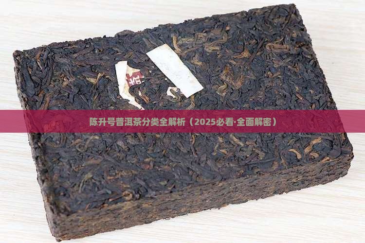 陈升号普洱茶分类