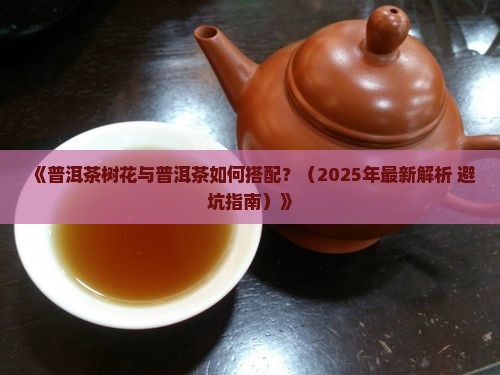 普洱茶树花搭配普洱茶