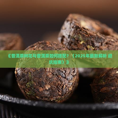 普洱茶树花搭配普洱茶