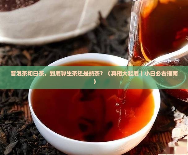 普洱茶白茶是生茶还是熟茶