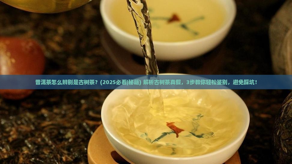 普洱茶怎么辨别是古树茶