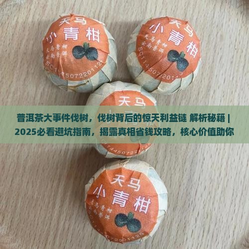 普洱茶大事件伐树