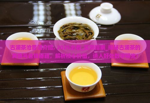 古澜茶沧普洱介绍