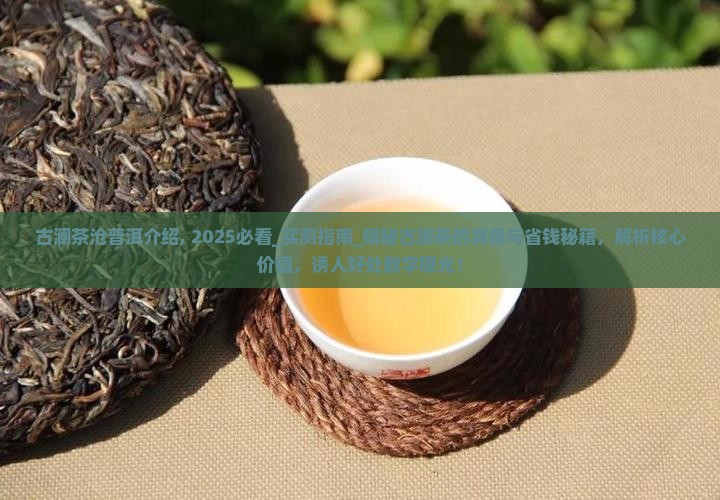 古澜茶沧普洱介绍