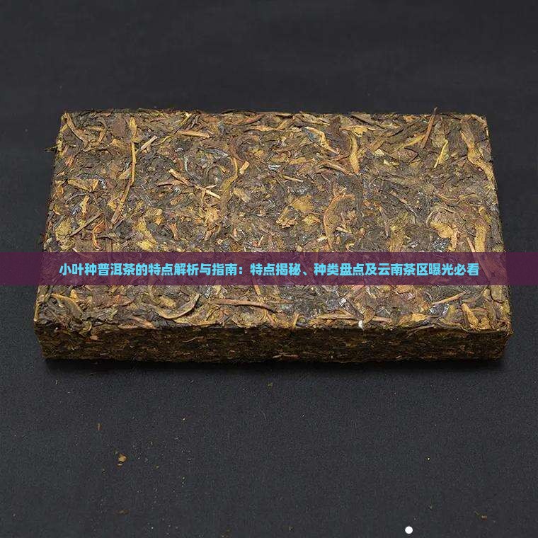 小叶种普洱茶的特点