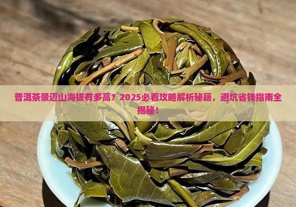 普洱茶地理优势景迈海拔