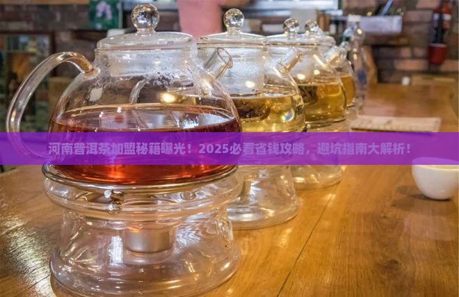 河南普洱茶加盟要什么条件