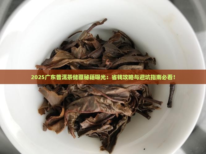 广东普洱茶储藏