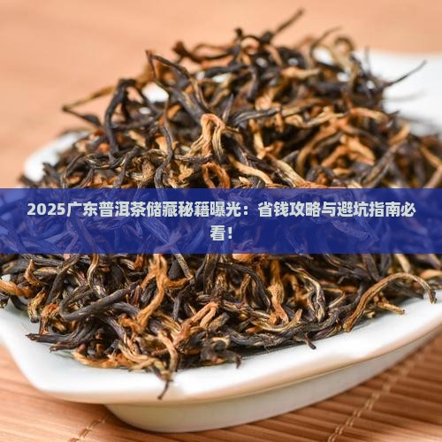 广东普洱茶储藏