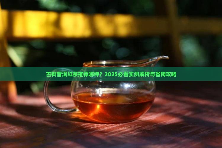 古树普洱茶红茶推荐哪种