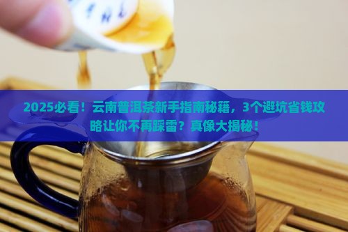 缅甸云南普洱茶
