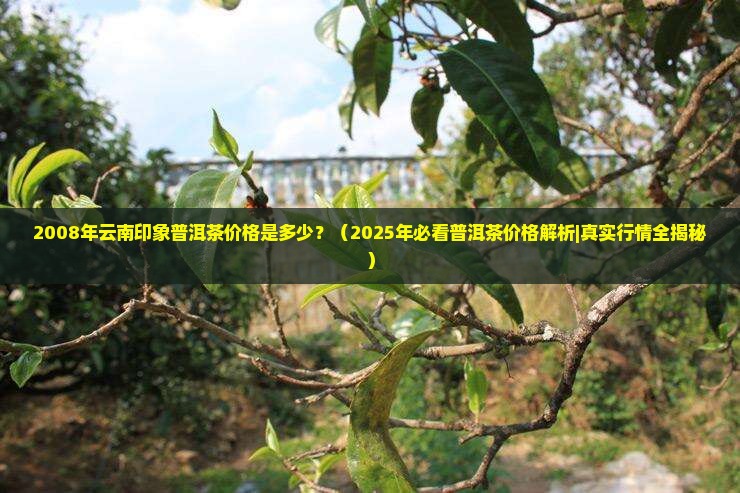 08年云南印象普洱茶价格 08年云南印象普洱茶价格