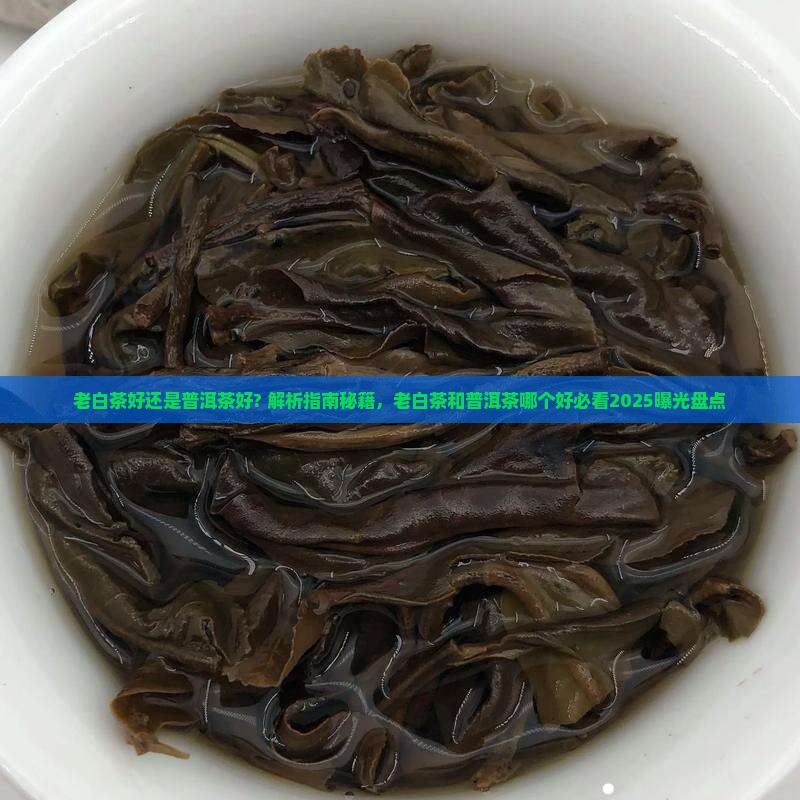 老白茶好还是普洱茶好