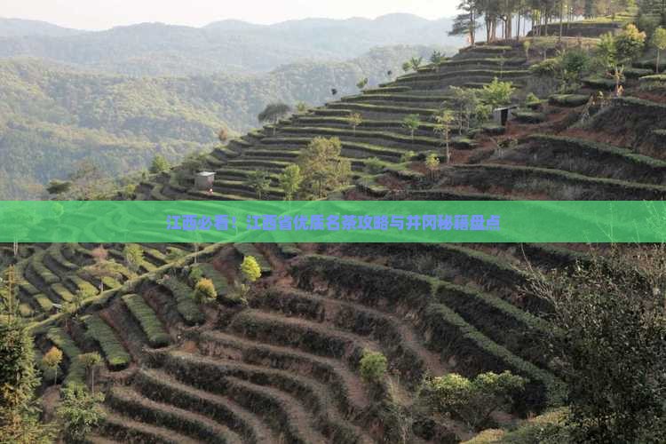 江西有名的茶叶产地