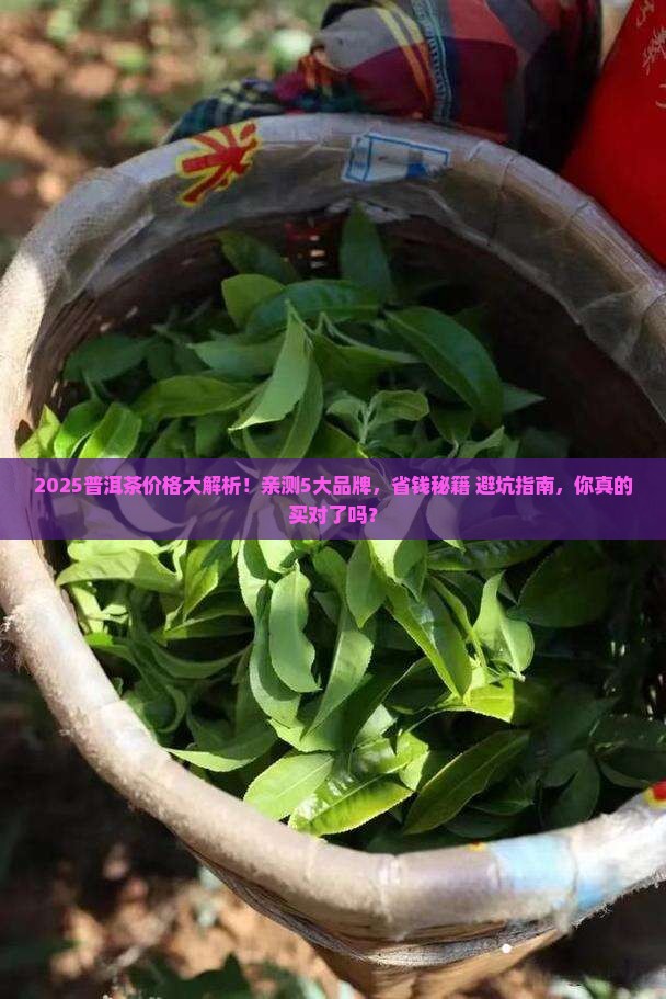 请问普洱茶多少钱一斤呢