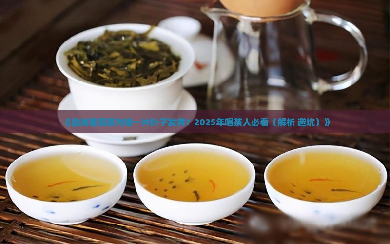 勐海普洱茶一片叶子发黄