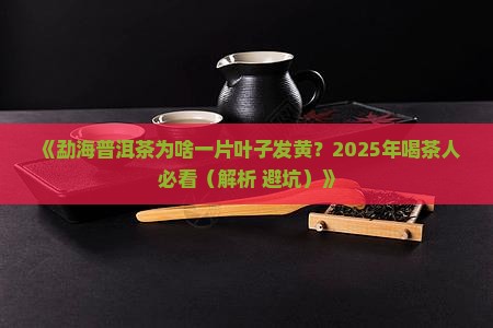 勐海普洱茶一片叶子发黄