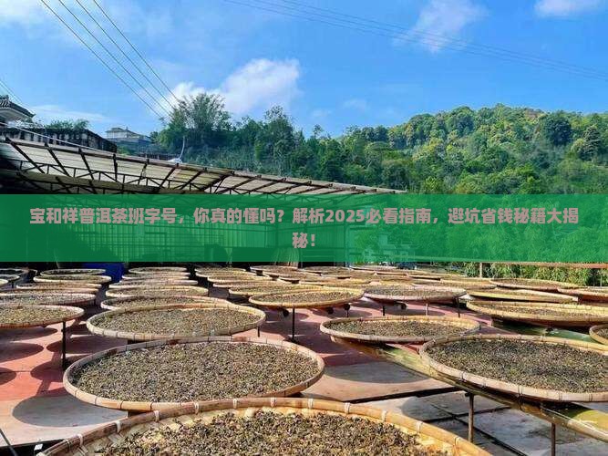 宝和祥普洱茶班字号
