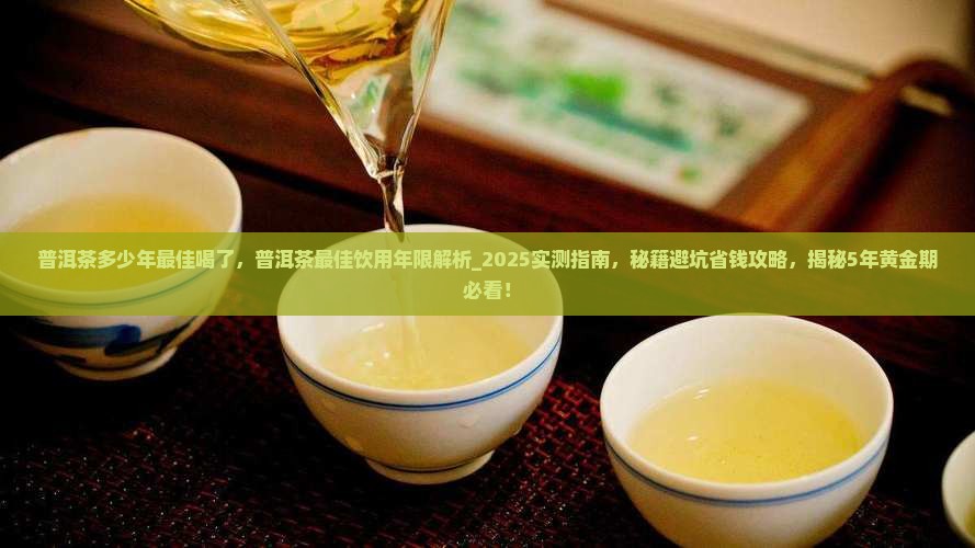 普洱茶多少年最佳喝了