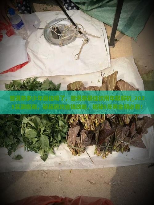 普洱茶多少年最佳喝了