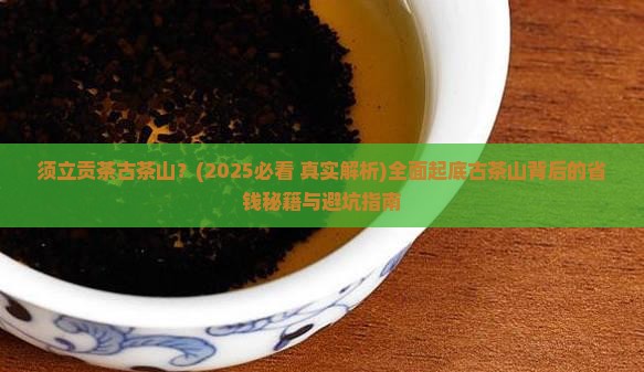 须立贡茶古茶山