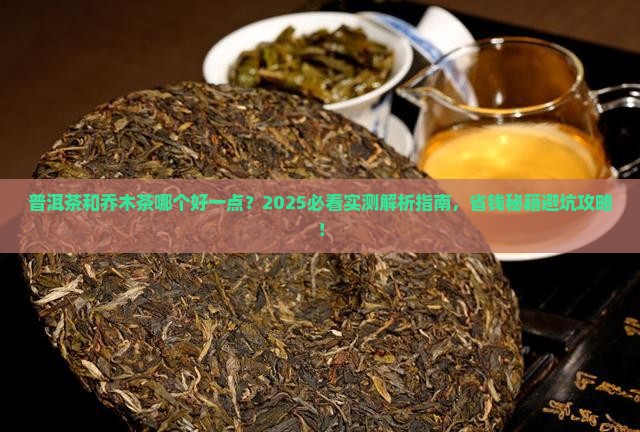 普洱茶和乔木茶哪个好一点