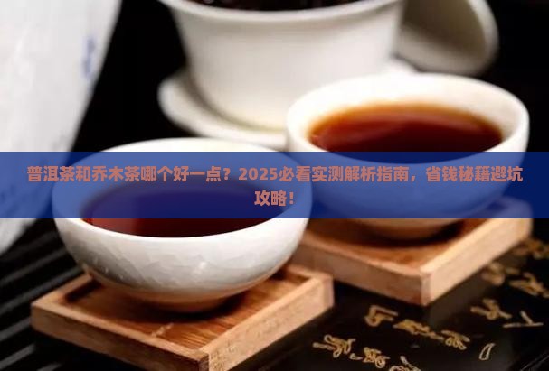 普洱茶和乔木茶哪个好一点