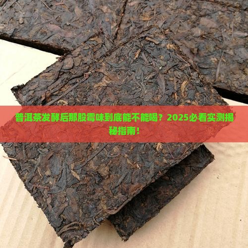 普洱茶发酵后有霉味吗能喝吗
