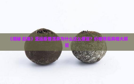 亚运版的普洱茶为什么便宜
