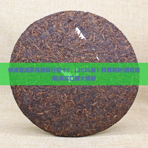 杨浦普洱茶品牌排行前十