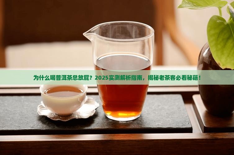 为什么喝普洱茶总放屁