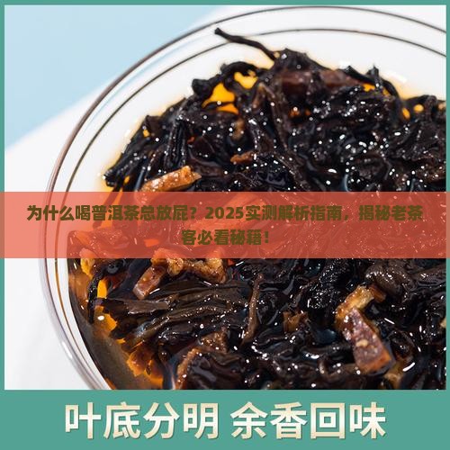 为什么喝普洱茶总放屁