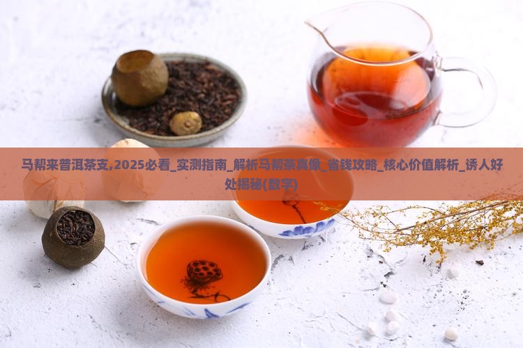 马帮来普洱茶支