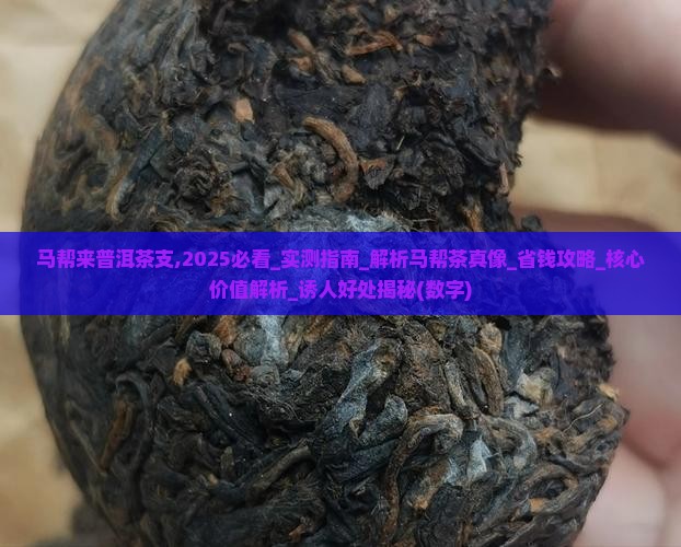 马帮来普洱茶支