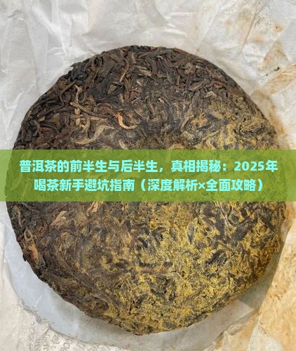 普洱茶的前半生和后半生