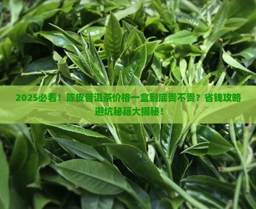 陈皮普洱茶价格一盒