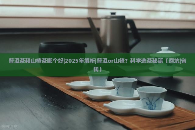 普洱茶和山楂茶哪个好