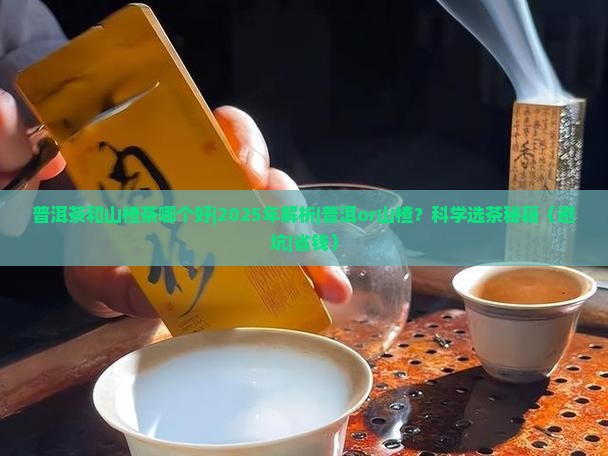 普洱茶和山楂茶哪个好