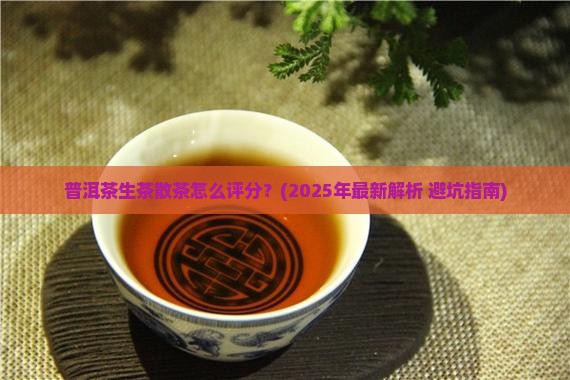 普洱茶生茶散茶评分 普洱茶生茶散茶评分