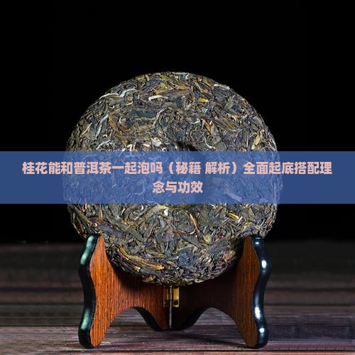 桂花能和普洱茶一起泡吗