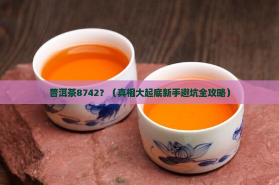普洱茶8742