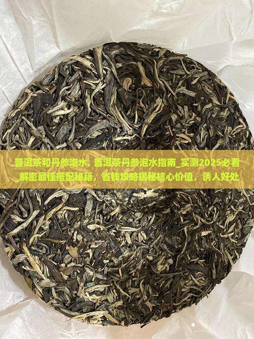 普洱茶和丹参泡水