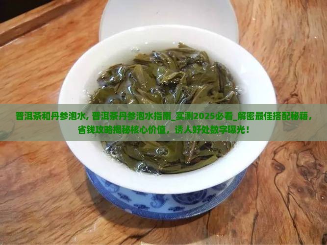 普洱茶和丹参泡水