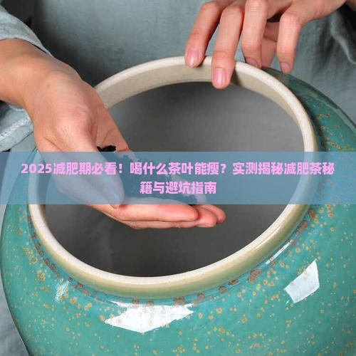 减肥期喝什么茶叶