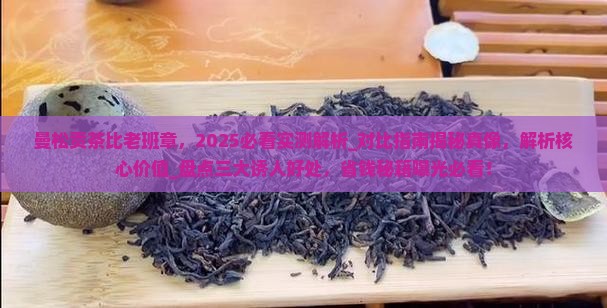 曼松贡茶比老班章
