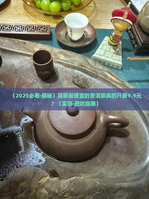 昆明最便宜的普洱茶多少钱