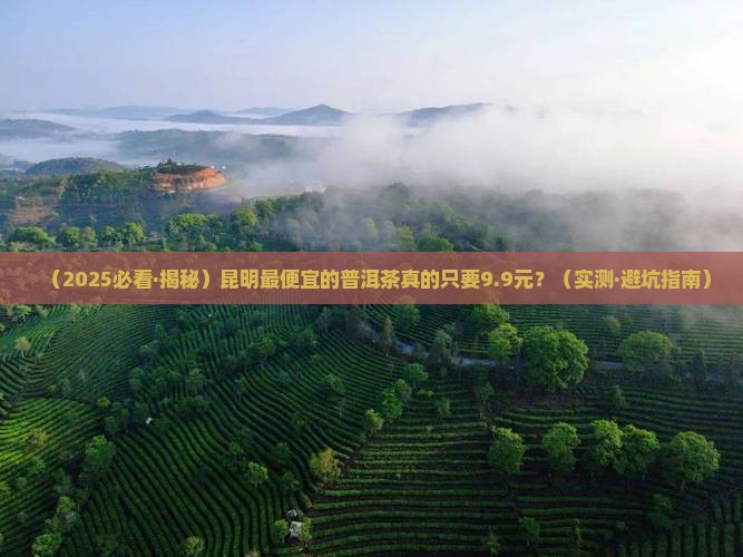昆明最便宜的普洱茶多少钱