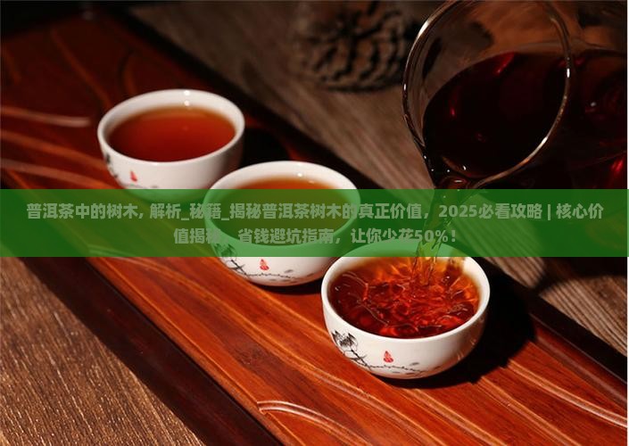 普洱茶中的树木