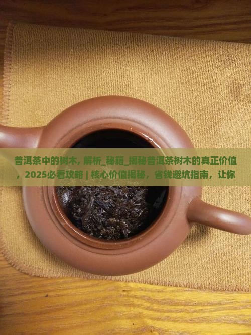 普洱茶中的树木