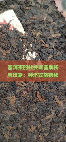 普洱茶的社会效益